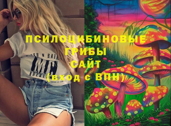 mix Белокуриха