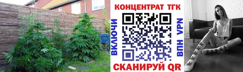 ТГК вейп с тгк Куйбышев